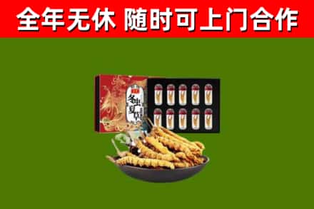 丽水回收冬虫夏草价格
